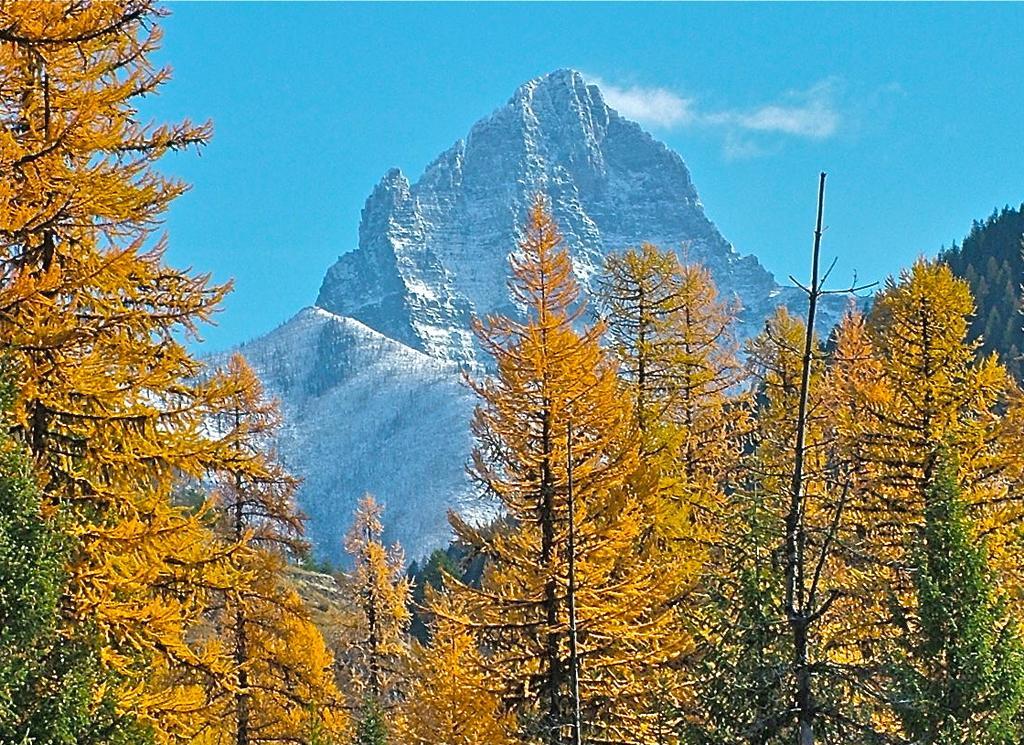 Glacier Haven Inn Pinnacle Buitenkant foto